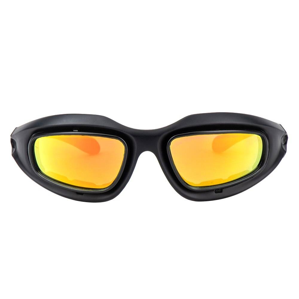 Polarized Motorcycle Glasses